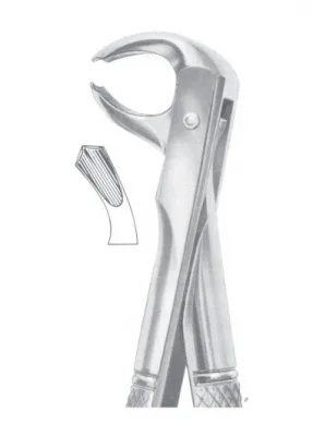Fig. 73L lower molars left 